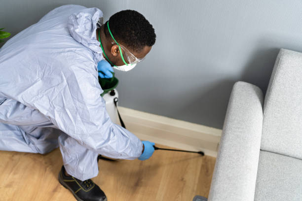 Best Fumigation Services  in Belvidere, NJ